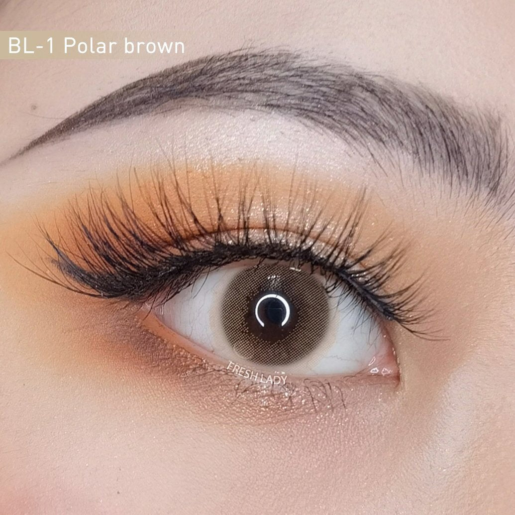 Polar Lights Brown