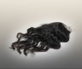 Topper 100% natural color negro lace Front